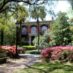 Our Masters Golf Odyssey ~ Monday and Tuesday
