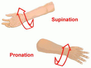 supinationpronation-pic